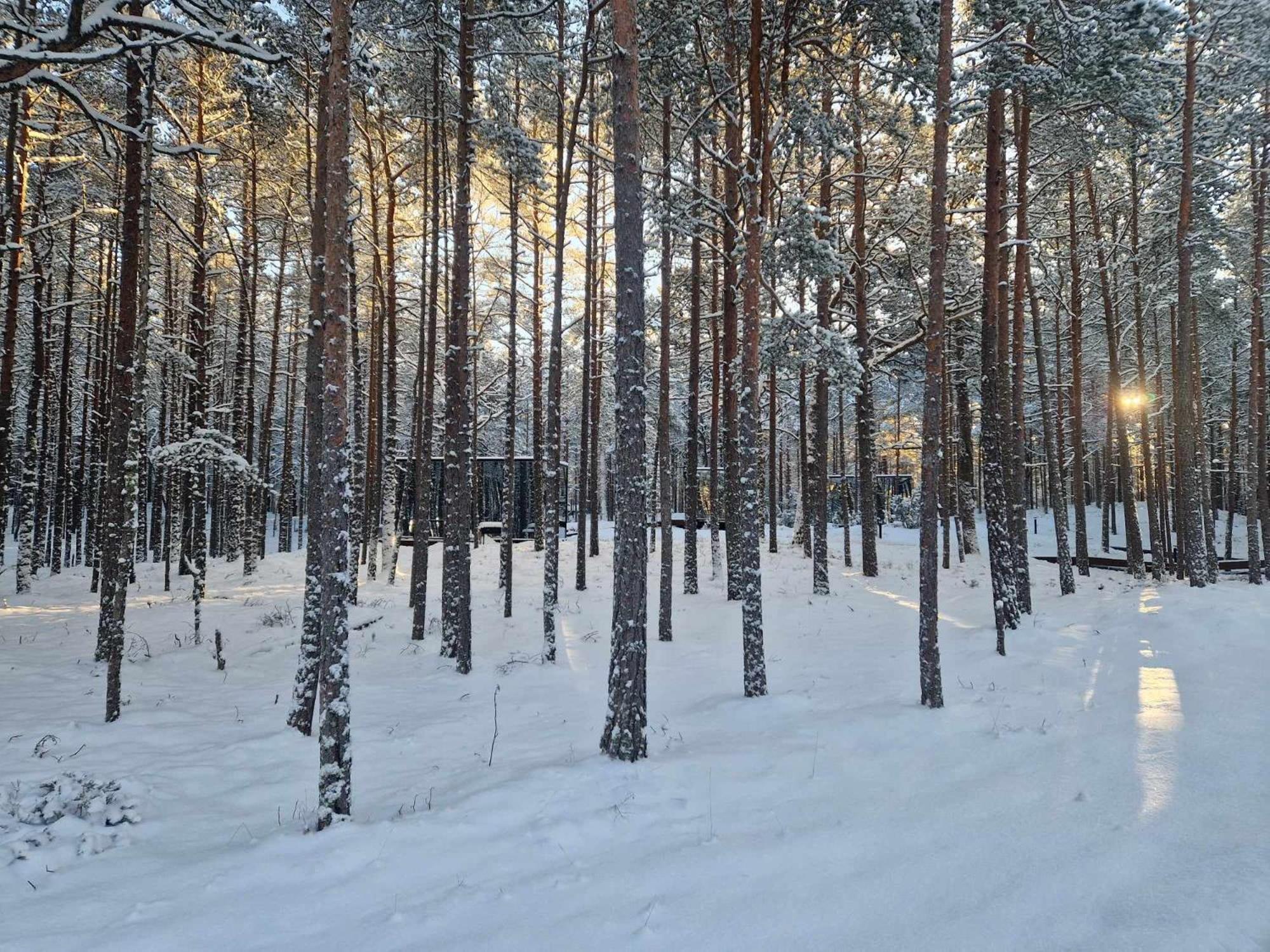 Korter Oeoed Hoetels Lohusalu Leida & Enno *